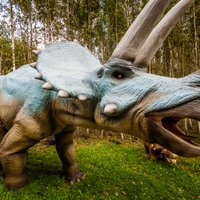 Foto: 'Dinozauru parks' Klaipēdas pievārtē