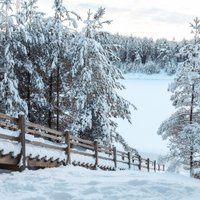 ФОТО. Сказочный зимний пейзаж Синих гор в Огре
