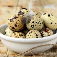 Производителю перепелиных яиц Eko paipalas придется уничтожить 30 тысяч птиц