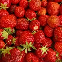 Самые полезные для здоровья ягоды