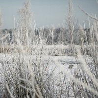 Jaunais šīs ziemas aukstuma rekords -22,5 grādi Dobeles novadā