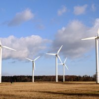 Tukumā neatbalsta 100 miljonu eiro vērto vēja elektrostaciju parka būvniecību