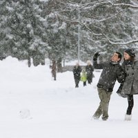 Власти Риги определили два места, куда жители и коммерсанты могут привозить снег
