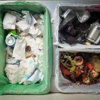 Mīti un patiesība par atkritumu šķirošanu