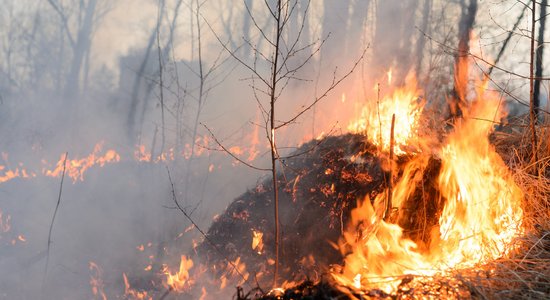 За прошедшие сутки зарегистрировано 37 пожаров прошлогодней травы