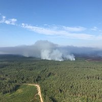 Valdgales pagasta plašā meža ugunsgrēka sadūmojums un smaka sasniegusi Saldu