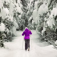 Все на лыжи! Советы тем, кто хочет научиться кататься на горных и беговых лыжах