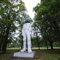 Судьба скульптуры обезьяны в парке Кронвальда пока не решена