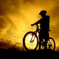 Установлен рекорд кругосветки на велосипеде — 123 дня