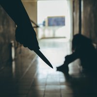 Bargāki sodi un labāka sadarbība – tiesu sistēma meklē jaunus risinājumus vardarbībai ģimenē