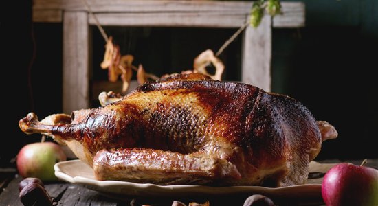 Как вкусно запечь гуся: разные начинки и способы приготовления этой рождественской птицы