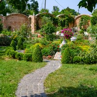 Вино и итальянский пейзаж в окружении роз: очаровательное кафе-сад в Яунциемсе