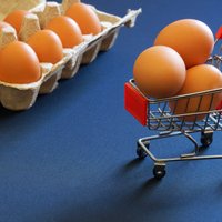 Balticovo: с начала войны объем украинских яиц на европейском рынке возрос в 17 раз