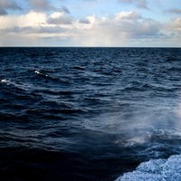 Норвегия: 30-летний гражданин Латвии погиб при падении за борт рыболовного судна