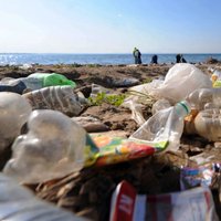 На пляже в Дзинтари обещают лучше убирать мусор