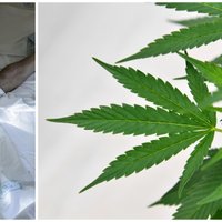 Sāpīgā dzīves nogale Latvijā – medicīniskās marihuānas legalizācija 'buksē' mediķu pretestības dēļ