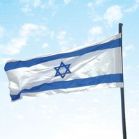 Граждане Израиля – против латвийских поправок о двойном гражданстве