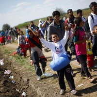 Венгрия не кормит мигрантов, которым отказано в убежище