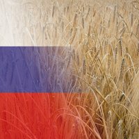 Pārtiku no Krievijas šogad saņēmis 81 uzņēmums. Komentāros kūtri