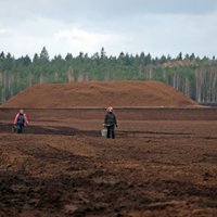 Kūdras ražotājs 'Greenyard Horticulture Latvia' guvis 983 600 eiro peļņu