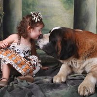 Лучшие друзья детей, защитники и пастухи: топ-10 самых больших в мире собак
