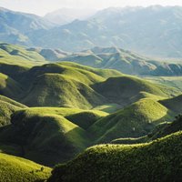 Zaļi kalni ar apaļām mugurām un neparastiem ziediem: gleznainā Džuko ieleja