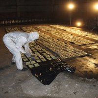 No kilograma vēderā līdz 200 kilogramiem konteinerā – zīmīgi kokaīna ķērieni Latvijā
