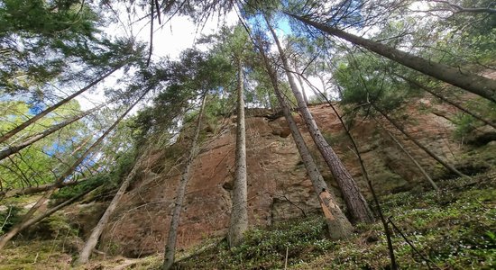 Скальная тропа Личу-Ланьгю в Национальном парке Гауя временно закрыта для посетителей