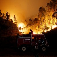 Portugālē izceļas traģisks meža ugunsgrēks