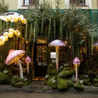 ФОТО. Фантастически красиво украшенные на новогодние праздники улицы Вильнюса