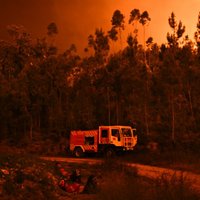 Бедствие в Португалии: в лесном пожаре погибли свыше 60 человек