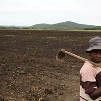 Mugabe: balto fermeru zemju sagrābšana turpināsies
