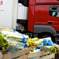 Polijas dārzeņu pieplūdums izspiedīs vietējos no veikalu plauktiem, uzskata eksperti