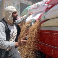 Ukrainā zagtos graudus Krievija mēģina pārdot Āfrikā, raksta NYT