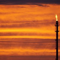 Zemo naftas cenu dēļ bankrotē ASV enerģētikas kompānija 'Quicksilver Resources'