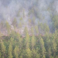 Запах дыма с пожара в Валдгалской волости достиг центральной части Латвии