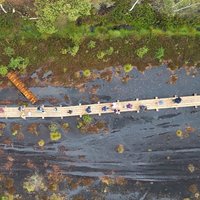 ФОТО. На Медемском болоте неподалеку от Риги появилась новая пешеходная тропа