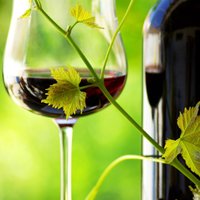 Krievija aizliedz vīna importu no Moldovas