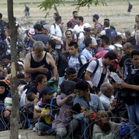 Тысячи мигрантов прорвались из Греции в Македонию