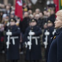 Кто придет на смену Грибаускайте? В Литве стартовала президентская предвыборная кампания