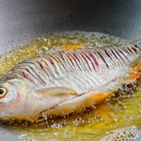 Knifs, kā sagatavot asakainas zivis cepšanai, lai tās varētu ēst bez bažām