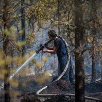 Лесной пожар под Талси продолжается шестой день: Латвии может потребоваться помощь из-за рубежа