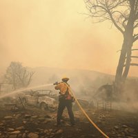 Kalifornijas meža ugunsgrēks atzīts par plašāko štata vēsturē