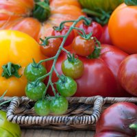 Neticami veselīgās tomātu ogas: kāpēc tās ēst un kā pagatavot