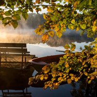 6 idejas, kur šogad doties izbaudīt rudens sauli un zeltainās lapas tepat Latvijā