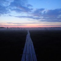 ФОТО. Тропа через болото Дуникас: 5 километров умиротворения и тишины