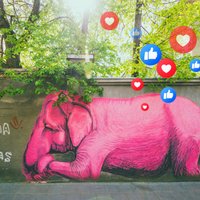 Top 10 vietas Lietuvā ideālu 'Instagram' kadru medībām