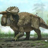 Beidzot noskaidrots, kāpēc izmira dinozauri