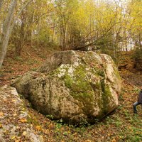 Sīkstais Rogāļu akmens, kas atrodams Kūku pagastā