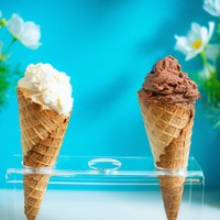Станет ли сладость роскошью? Производители мороженого готовятся к трудным временам